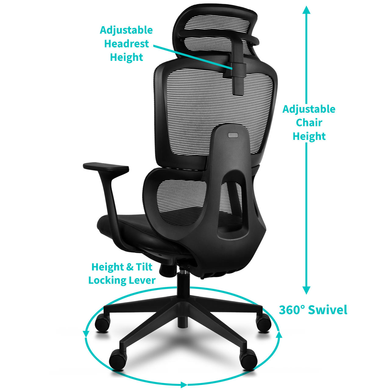 Loyar Mesh Ergonomic Office Chair In Baba Black - Febonic Living