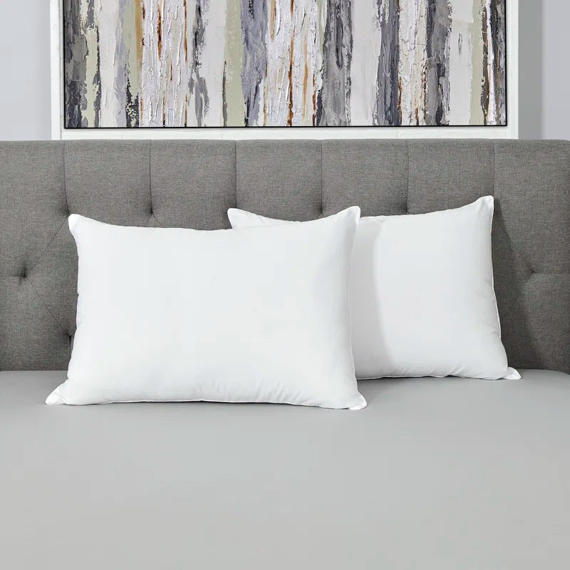 Roshan Shredded (20x28) Memory Foam Pillows (Pack of 2) - Febonic Living