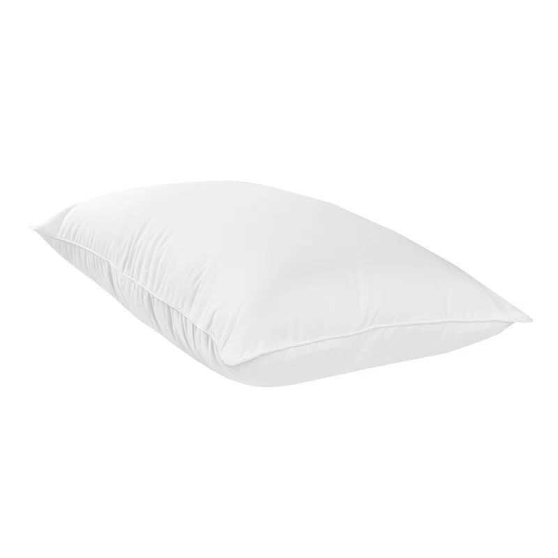 Roshan Shredded (20x28) Memory Foam Pillows (Pack of 2) - Febonic Living