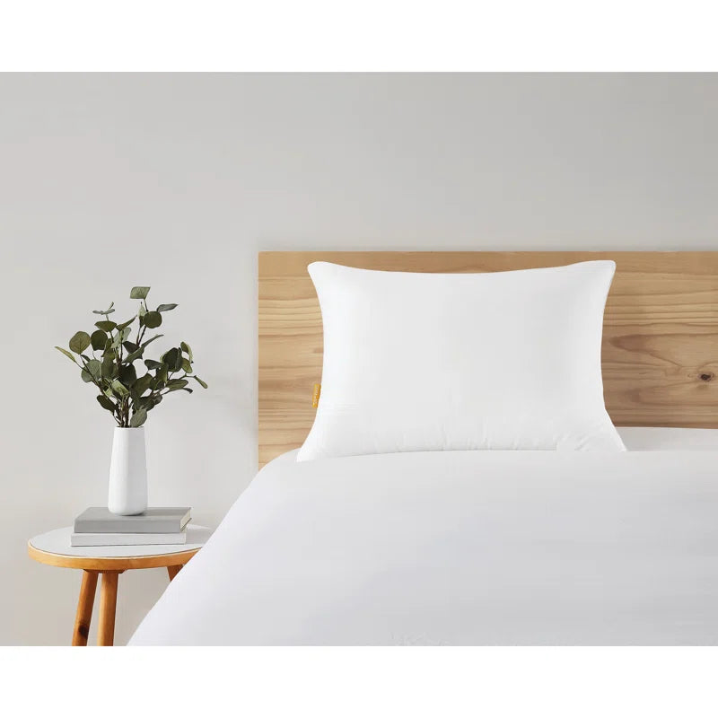 Rajat Shredded (20x26) Memory Foam Pillows (Pack of 2) - Febonic Living