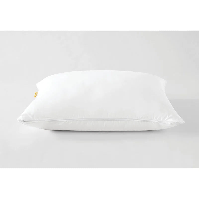 Rajat Shredded (20x26) Memory Foam Pillows (Pack of 2) - Febonic Living