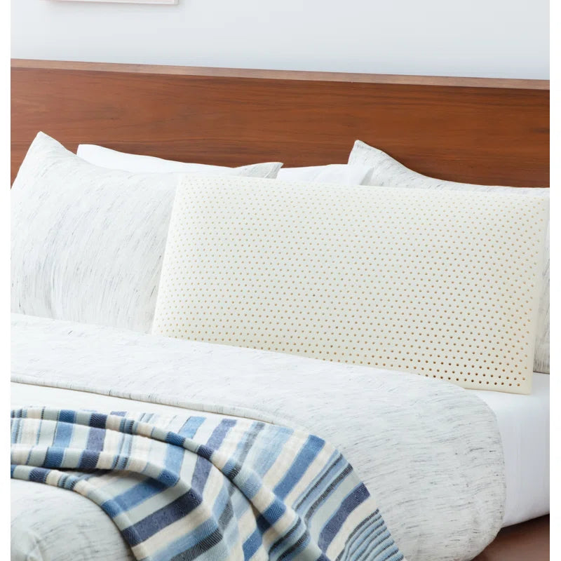 Kari (29x16) Latex Pillows In (Pack of 2) - Febonic Living