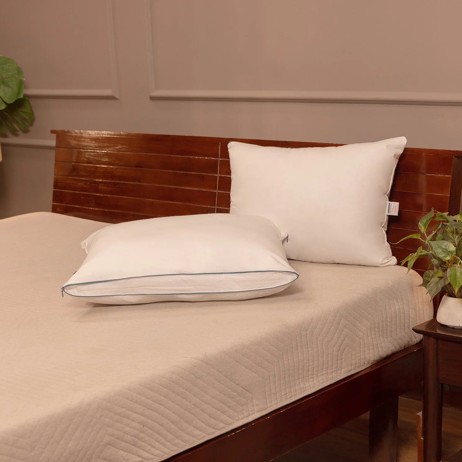 Korn (24x16) Fiber Pillows in (Pack of 2) - Febonic Living