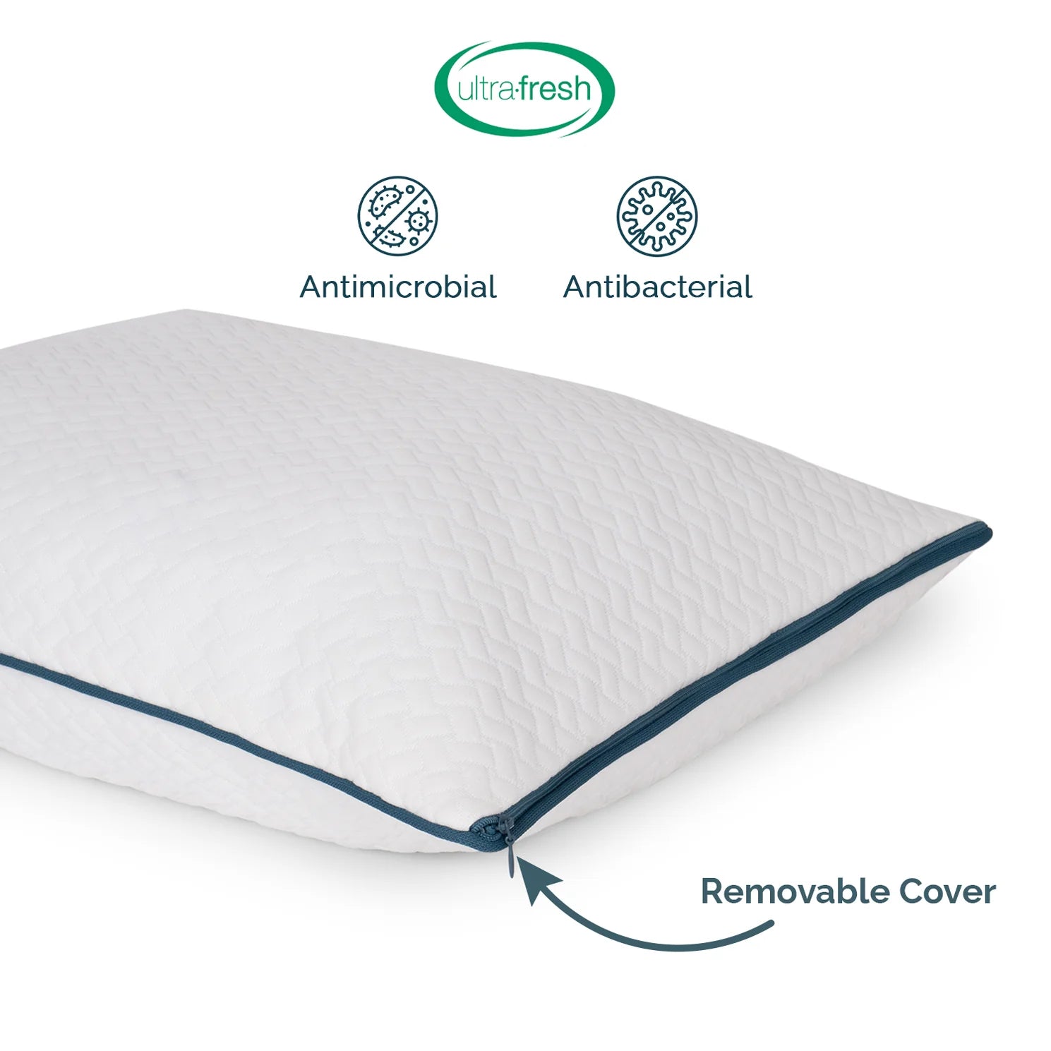 Gita Shredded (24x16) Memory Foam Pillows (Pack of 2) - Febonic Living