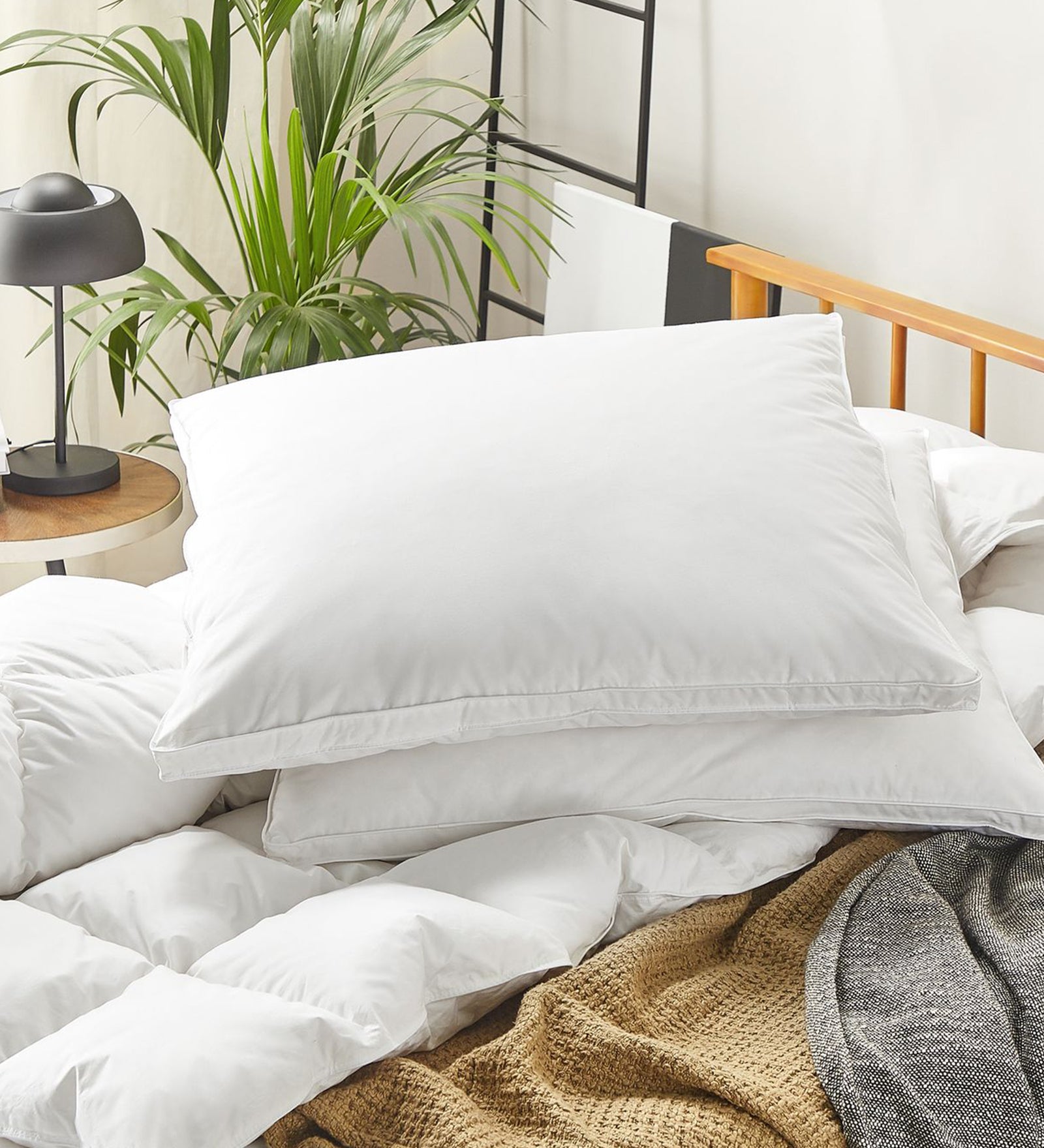 Zayan (80x80cm) Fiber Pillows (Pack of 2) - Febonic Living