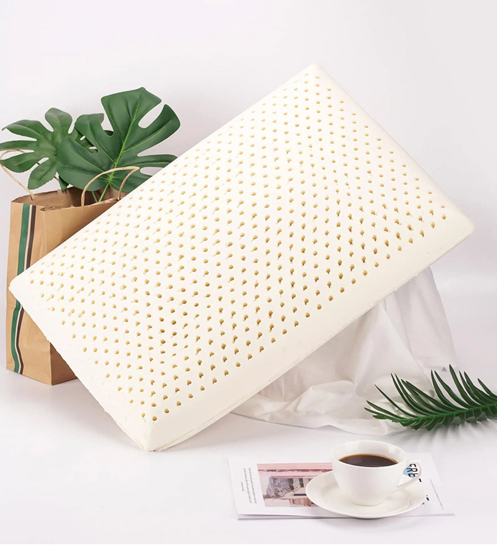 Kaori (28x14) Latex Pillows In (Pack of 2) - Febonic Living