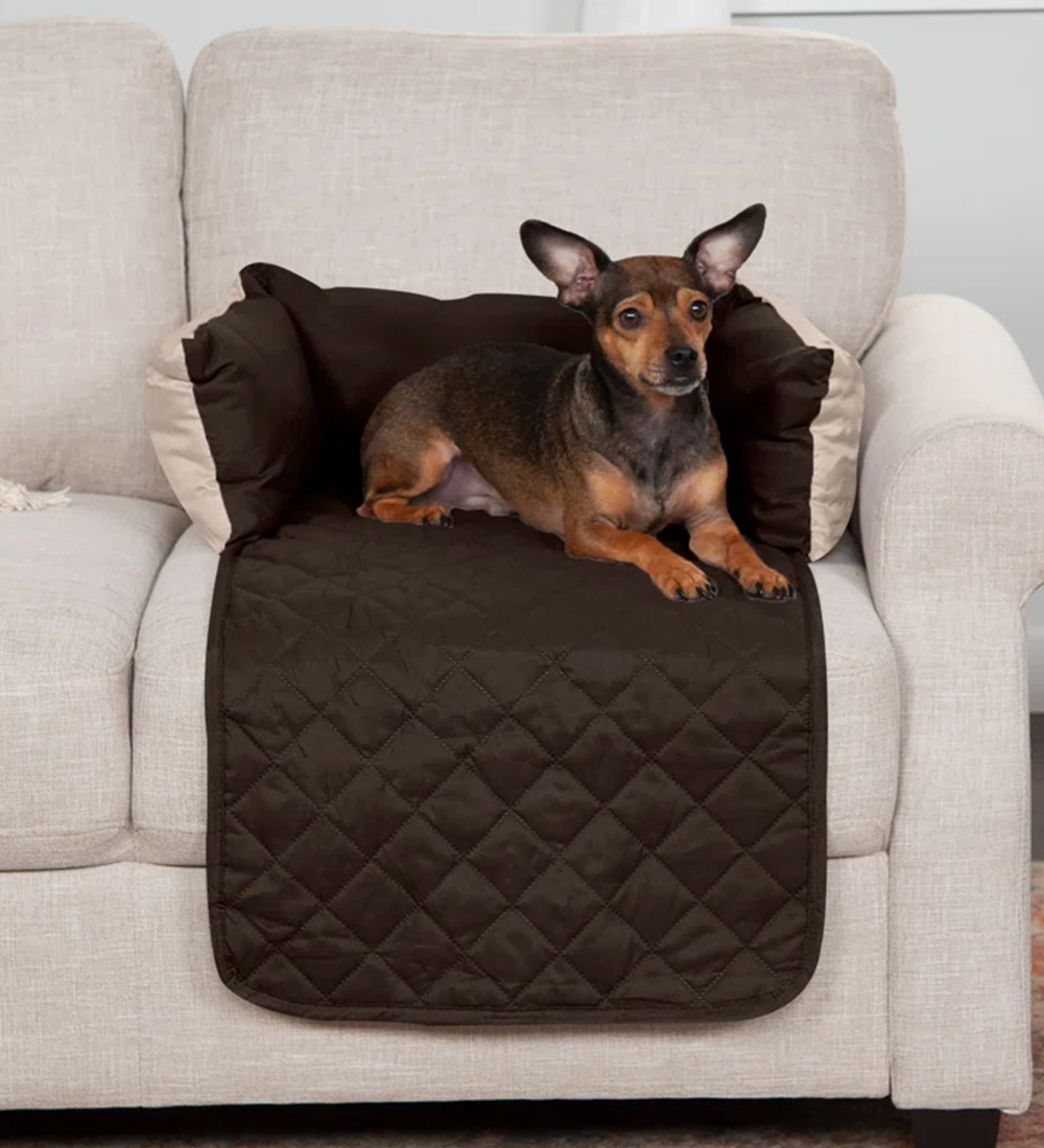 Buddy Velvet Quilted Dog Bed Sofa Cover in Brown Colour - Febonic Living