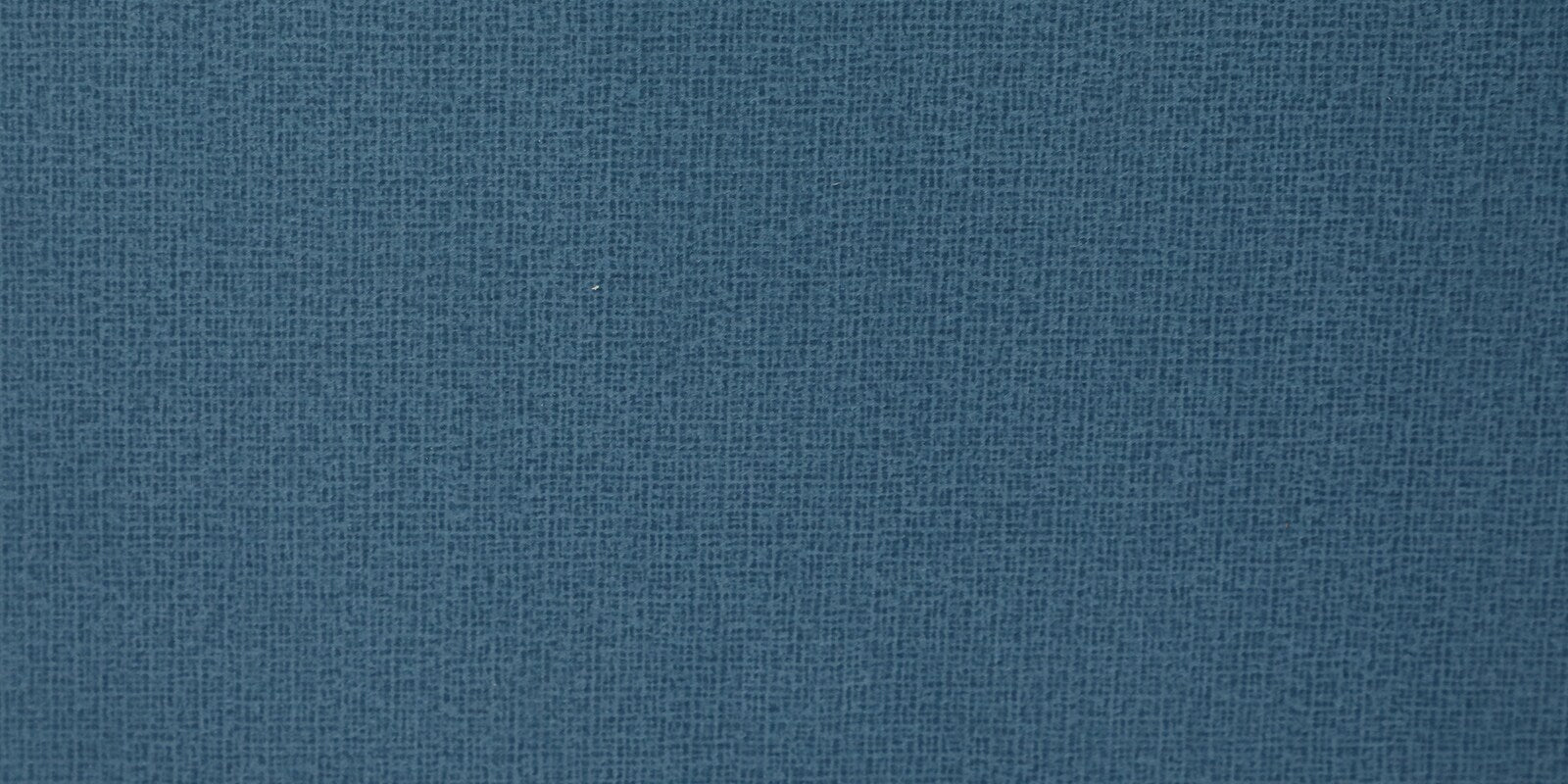Jisma Sheesham Wood 2 Seater Sofa In Blue Colour - Febonic Living