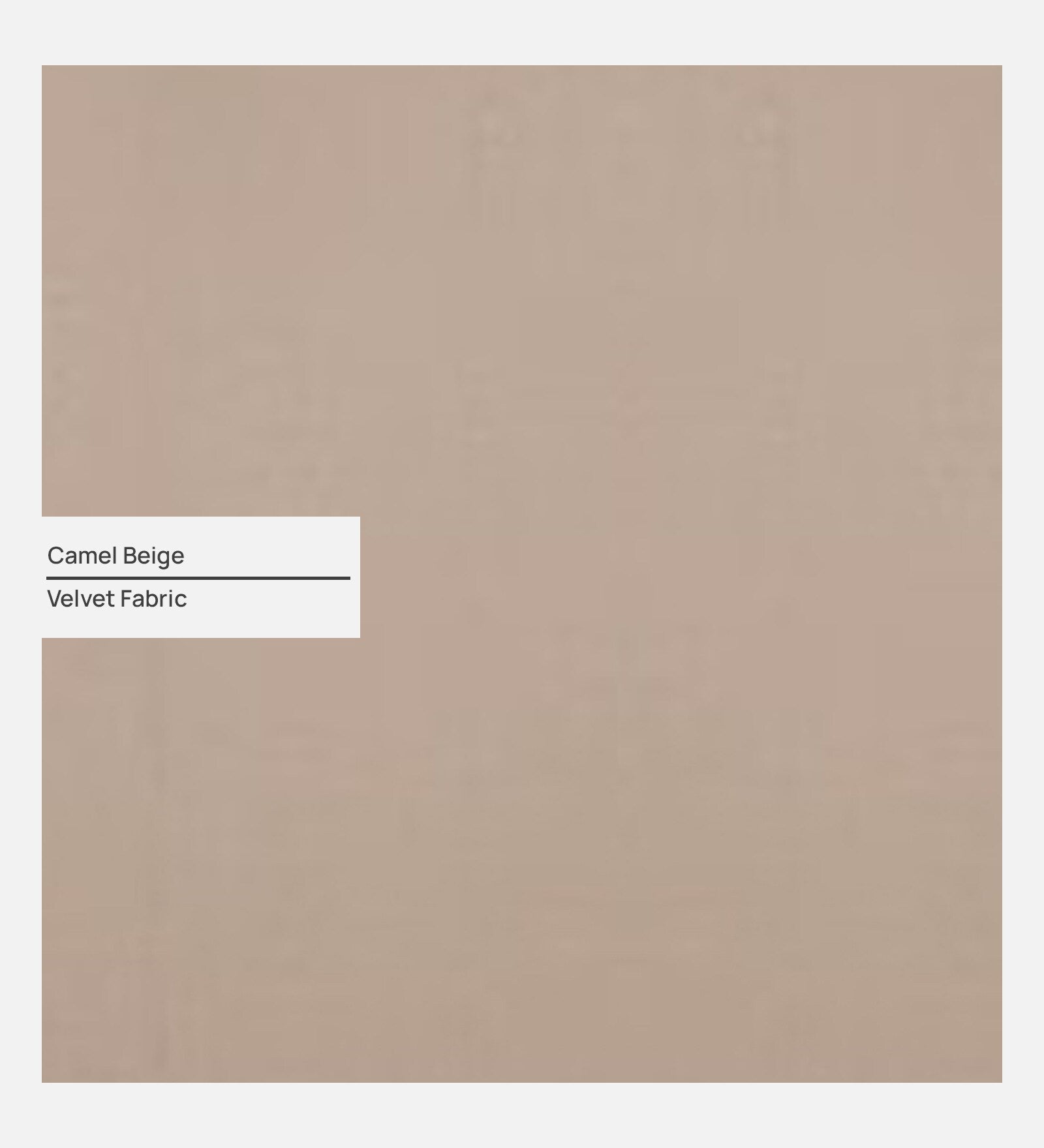 Molen Velvet Wing Chair In Camel Beige Finish With Ottoman