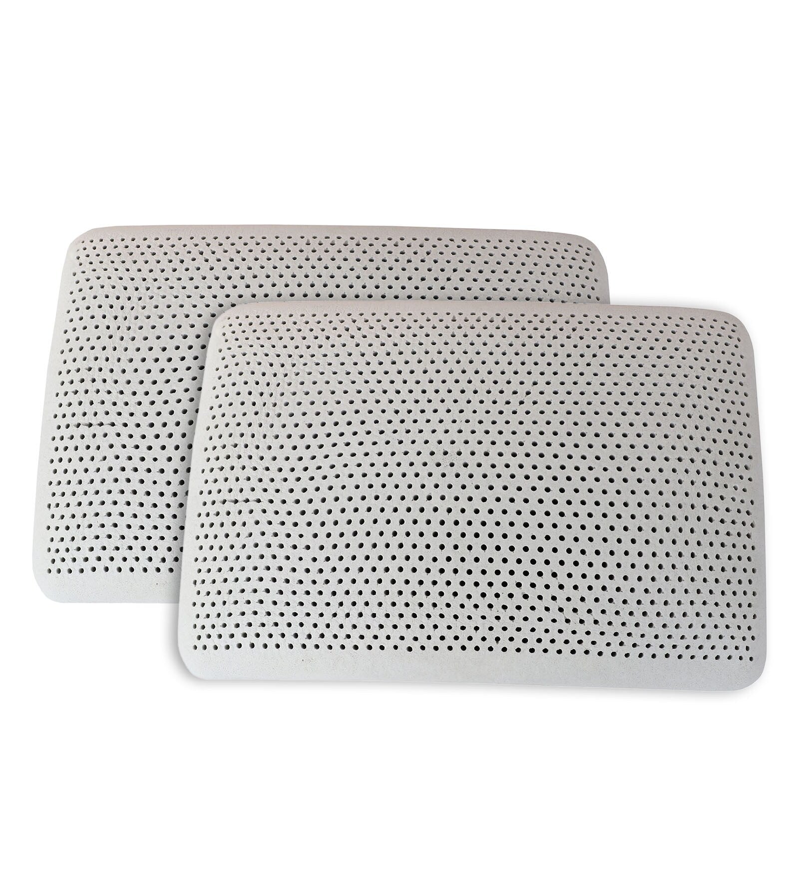 Aspen (24x16) Latex Pillows In (Pack of 2) - Febonic Living