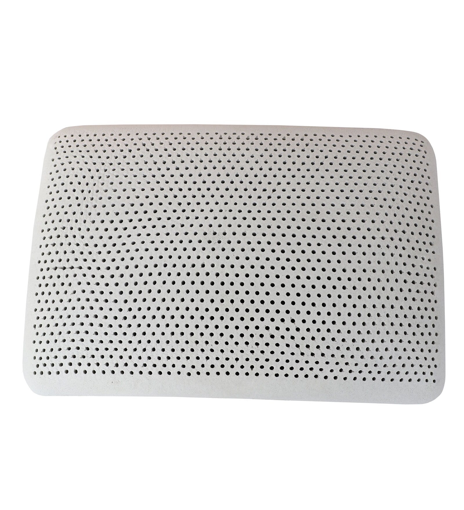 Aspen (24x16) Latex Pillows In (Pack of 2) - Febonic Living