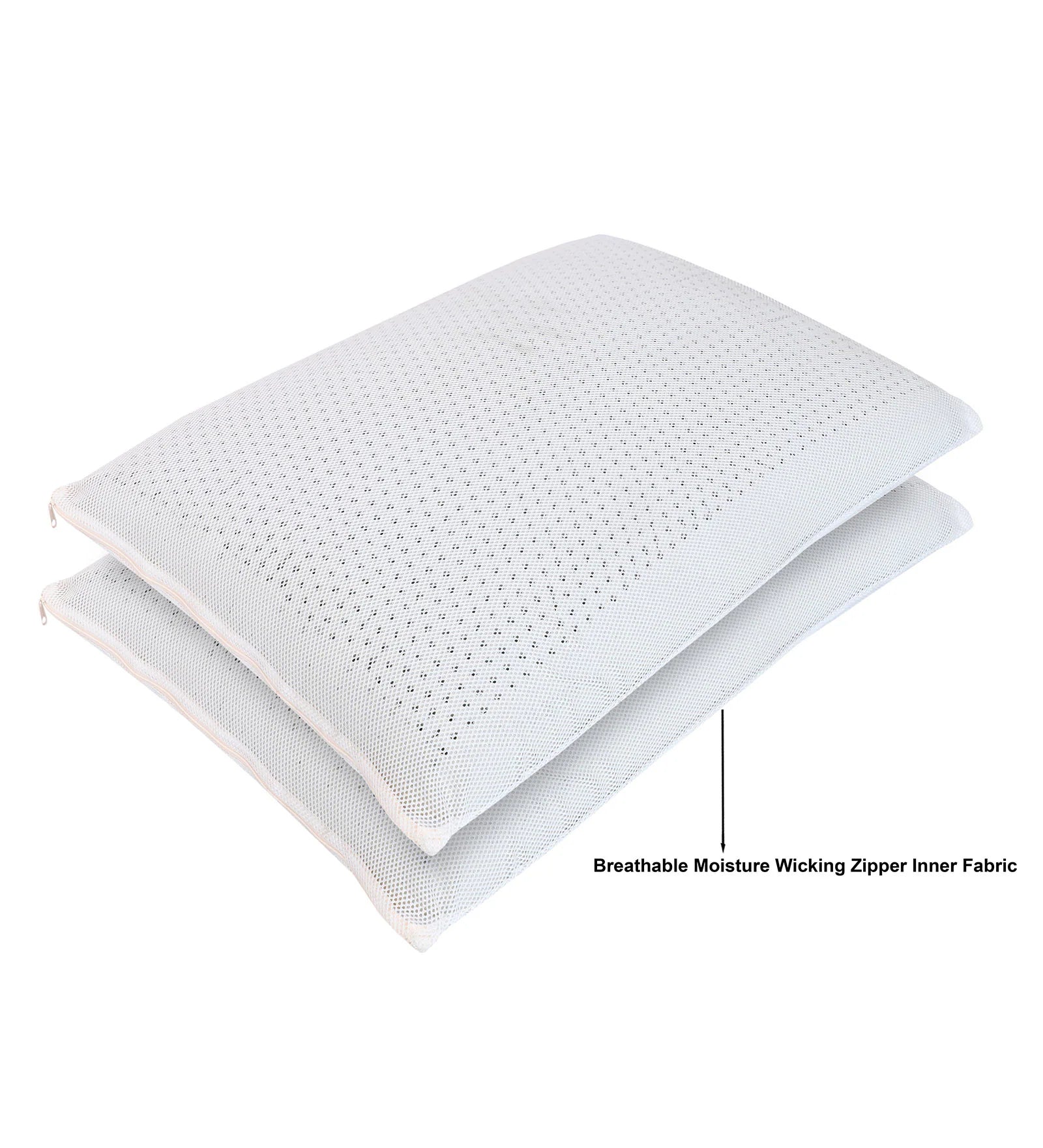 Aspen (24x16) Latex Pillows In (Pack of 2) - Febonic Living