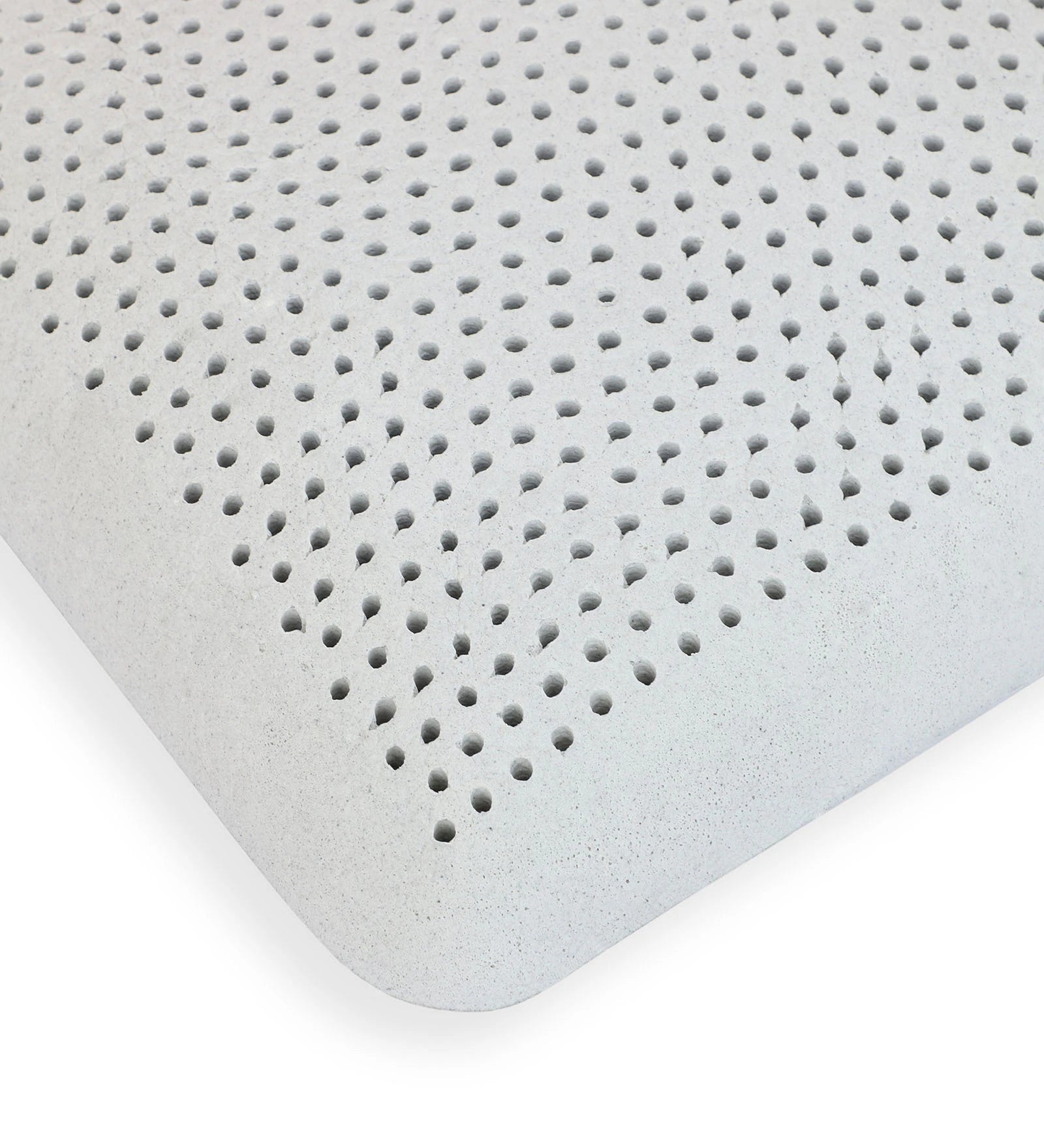 Aspen (24x16) Latex Pillows In (Pack of 2) - Febonic Living