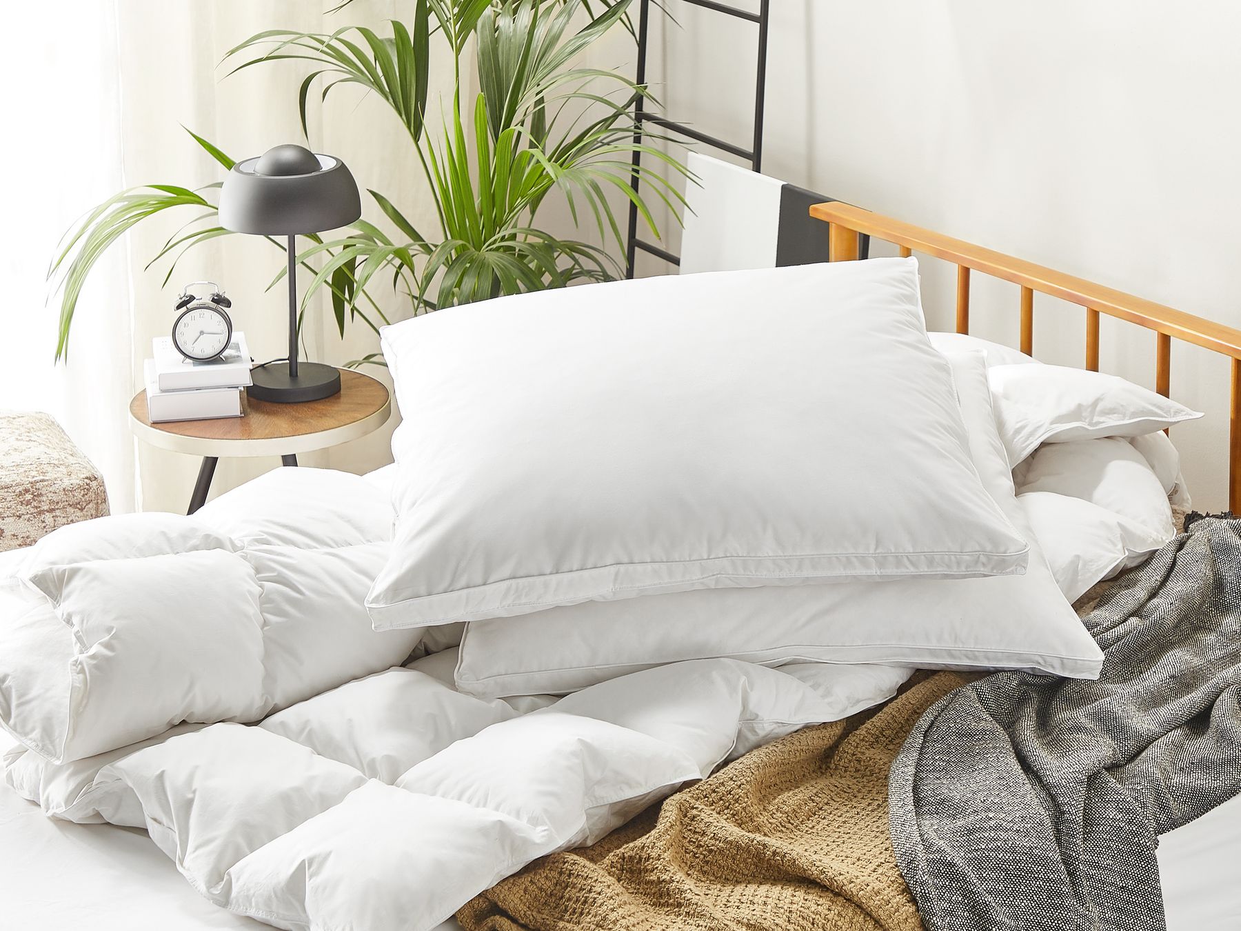 Zayan (80x80cm) Fiber Pillows (Pack of 2) - Febonic Living