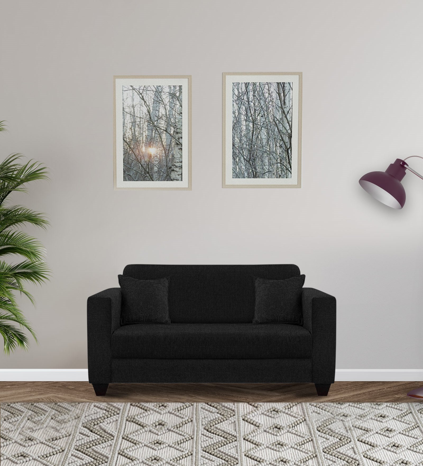 Nebula Fabric 2 Seater Sofa in Zed Black Colour
