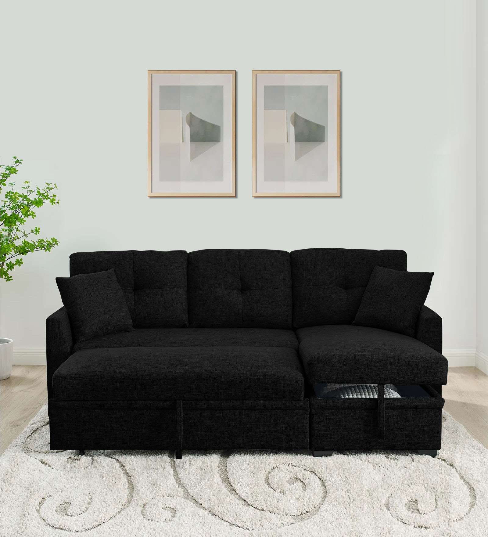 Jody Fabric 3 Seater Pull Out Sofa Cum Bed In Zed Black Colour