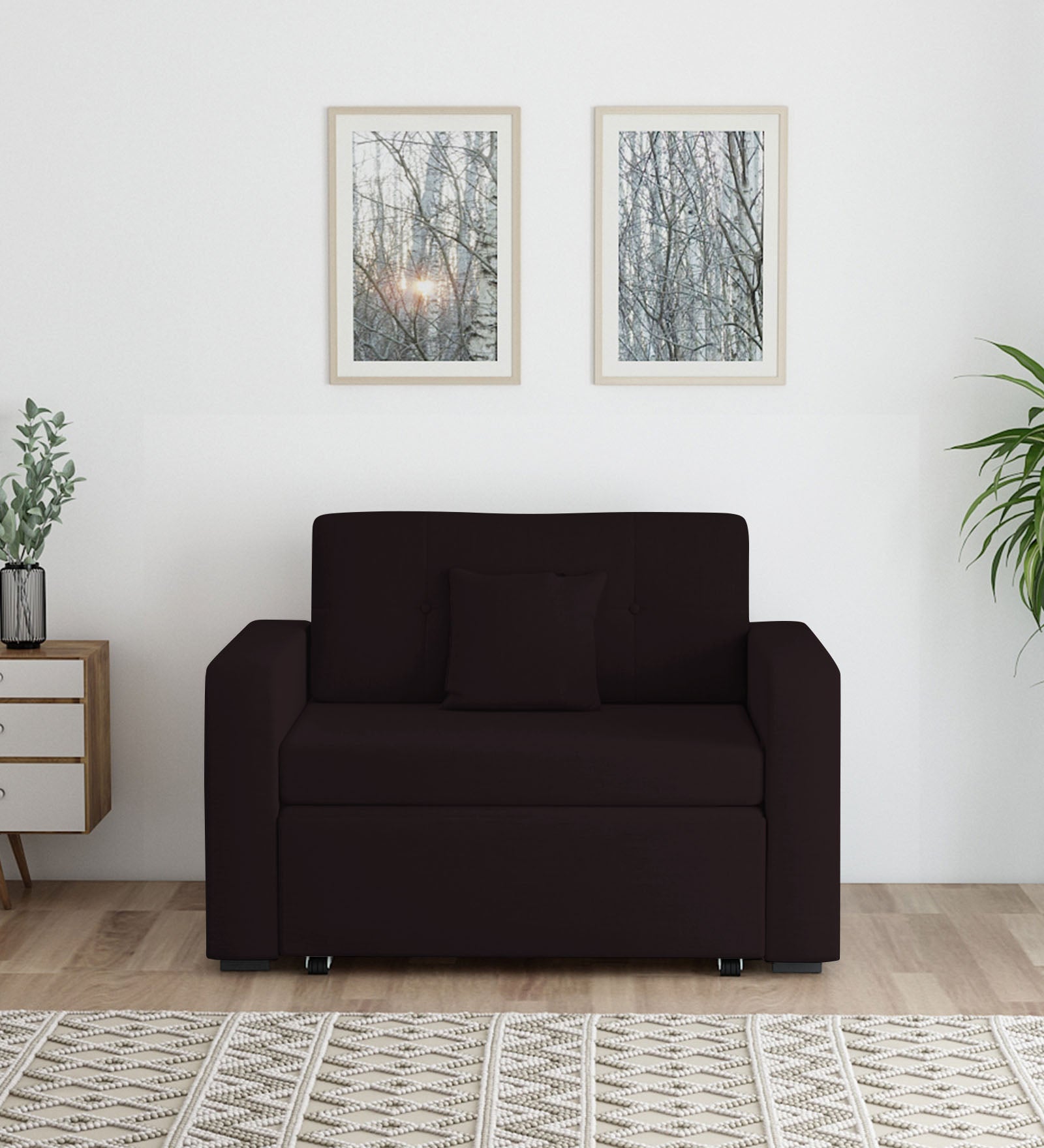 Rocky Fabric 2 Seater Pull Out Sofa Cum Bed In Cara Brown Colour With Storage