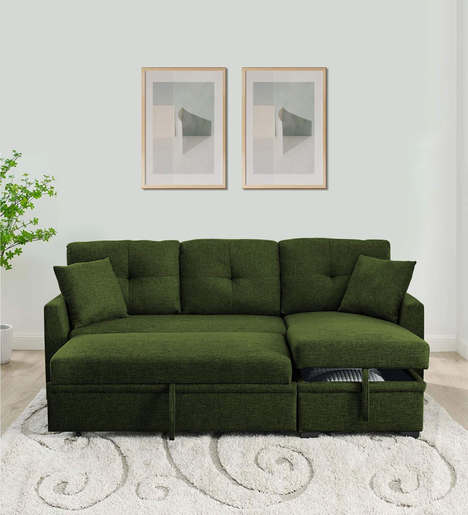 Jody Fabric 3 Seater Pull Out Sofa Cum Bed In Light Green Colour