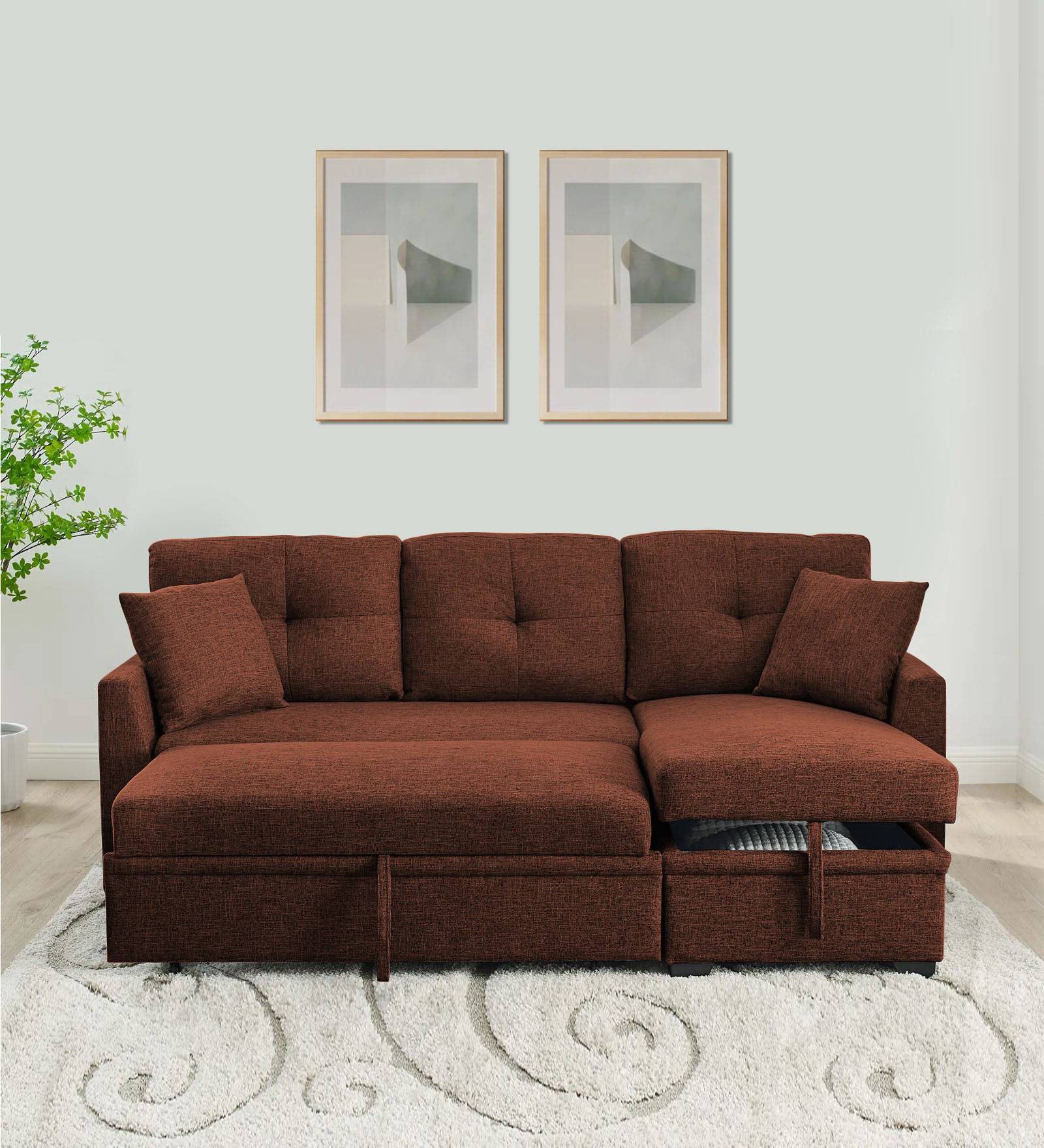 Jody Fabric 3 Seater Pull Out Sofa Cum Bed In Coffee Brown Colour