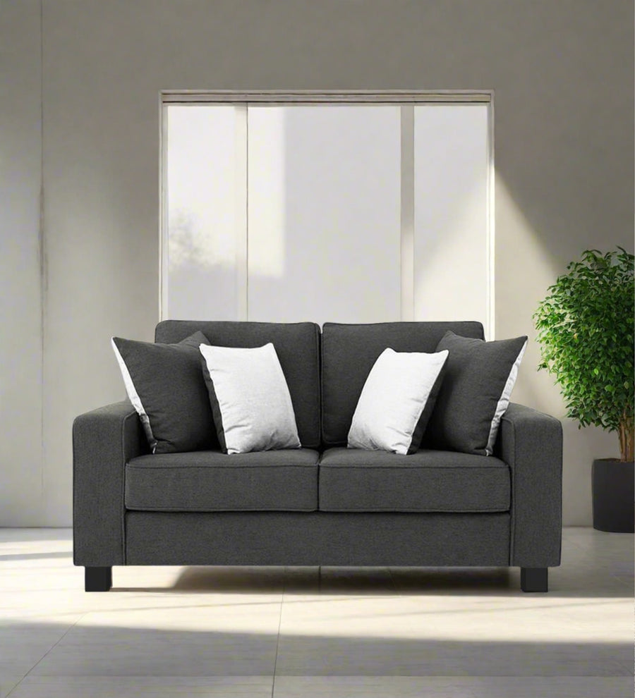 Ladybug  2 Seater Fabric Sofa - Charcoal Grey by Febonic Living