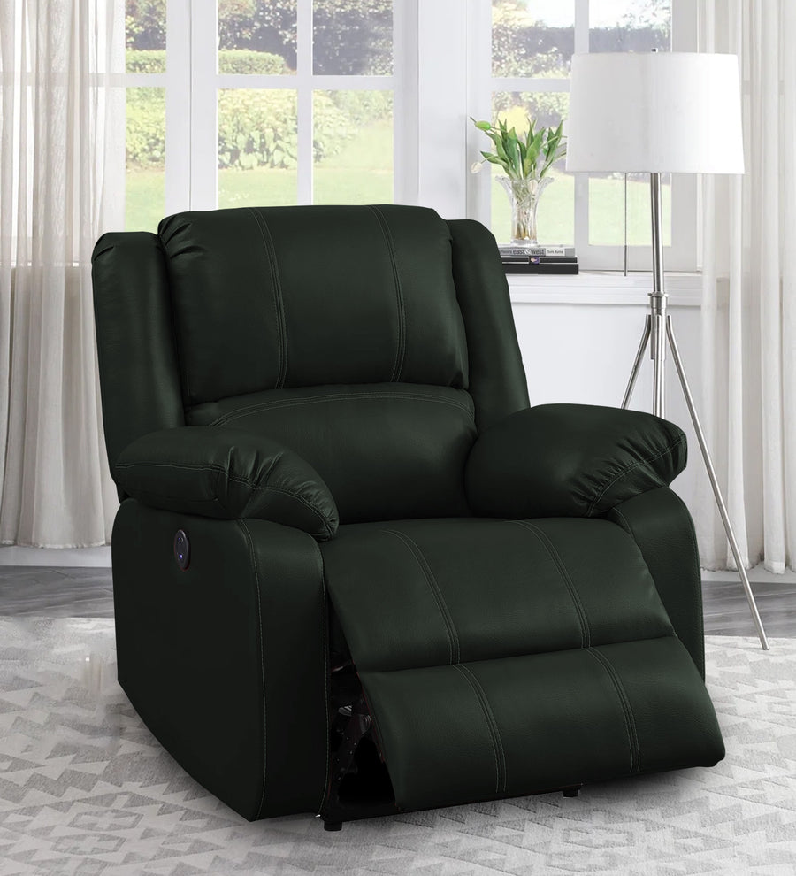 Santo  1 Seater Motorized Leatherette Recliner - Dark Green Leather Finish by Febonic Living