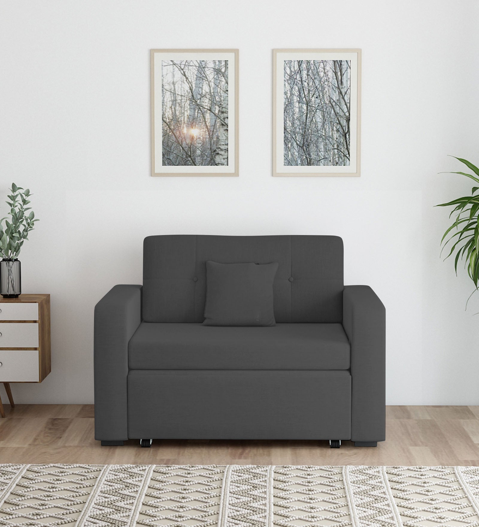 Rocky Fabric 2 Seater Pull Out Sofa Cum Bed In Charcoal Grey Colour With Storage