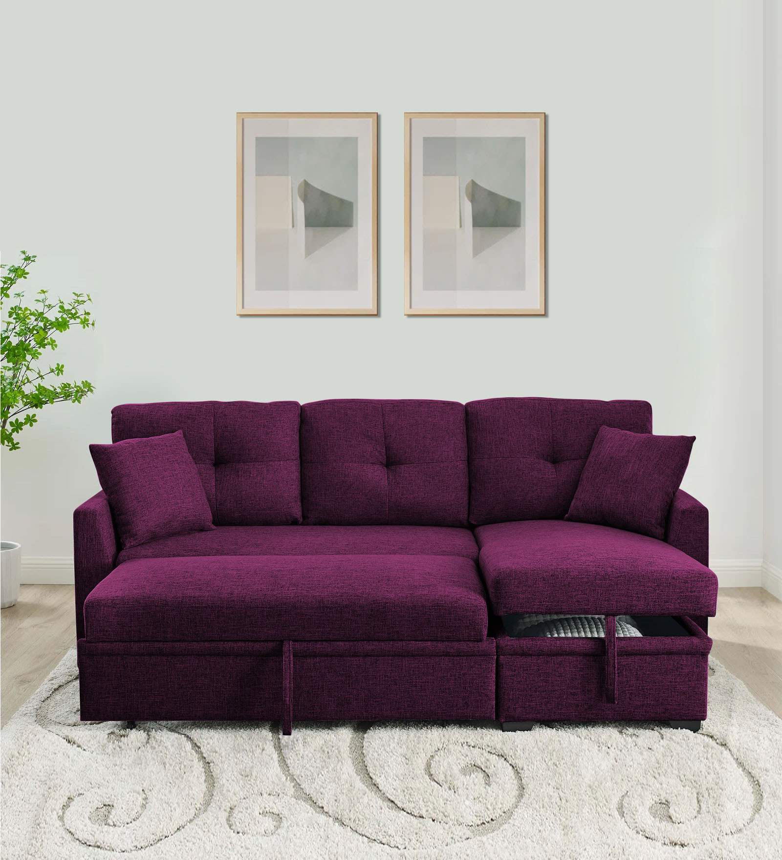 Jody Fabric 3 Seater Pull Out Sofa Cum Bed In Greek Purple Colour