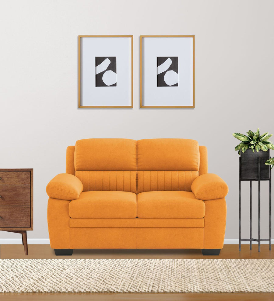 Cantaberry  2 Seater Velvet Sofa - Tangerine Orange by Febonic Living