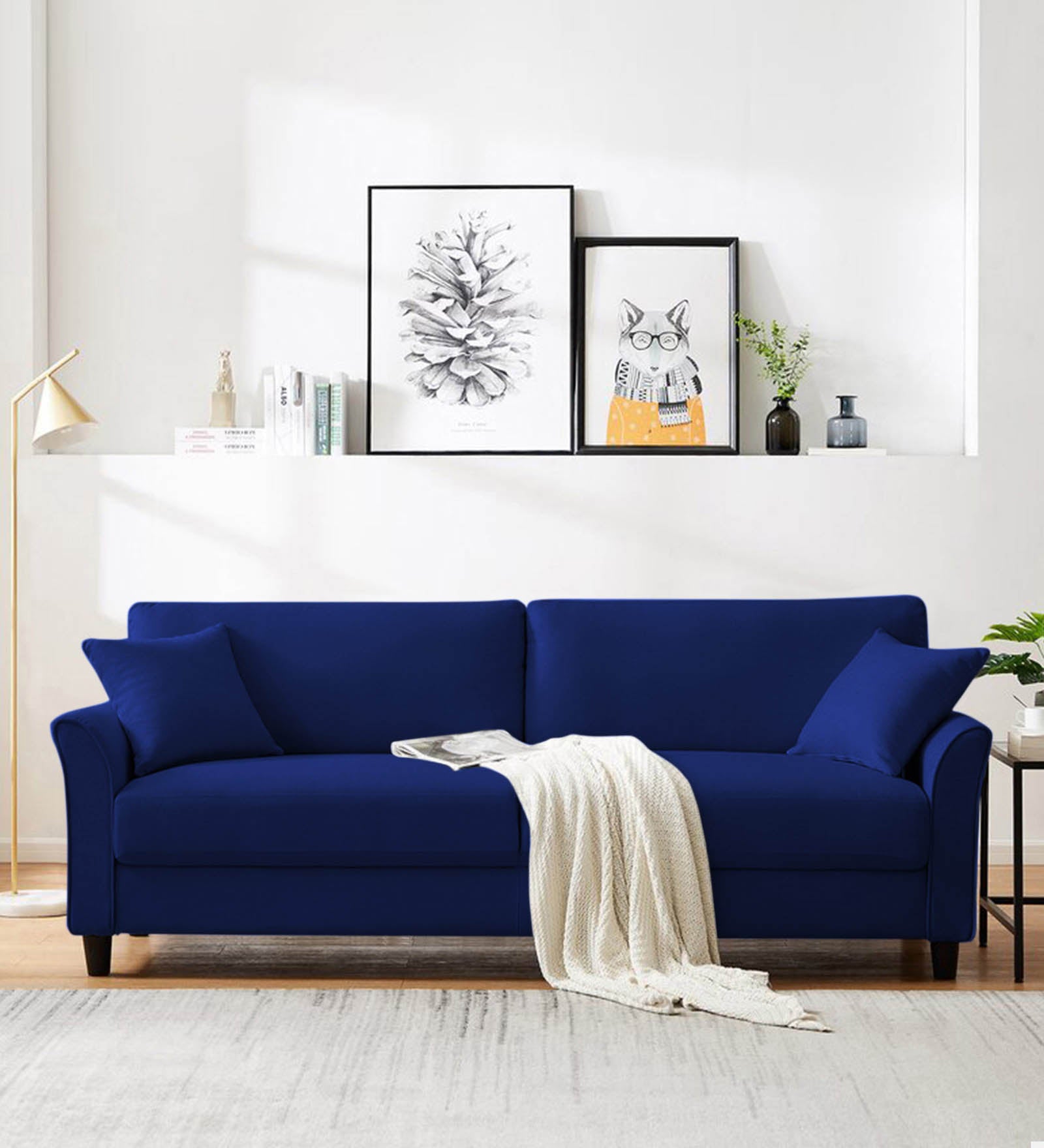 Daroo Velvet 3 Seater Sofa in Imperial blue Colour
