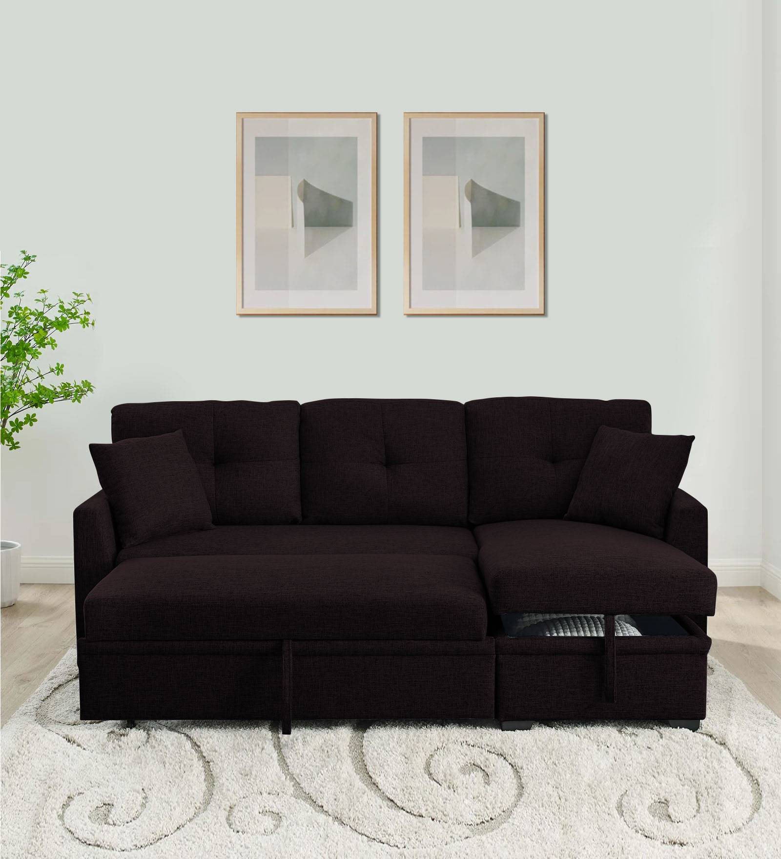 Jody Fabric 3 Seater Pull Out Sofa Cum Bed In Cara Brown Colour