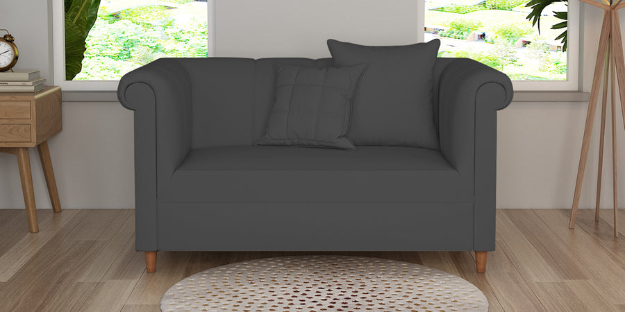 Rubi Velvet 2 Seater Sofa In Davy Grey Colour - Febonic Living
