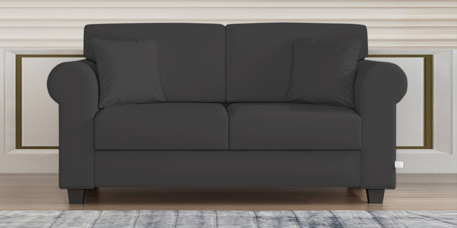 Numonk Velvet 2 Seater Sofa In Davy Grey Colour - Febonic Living