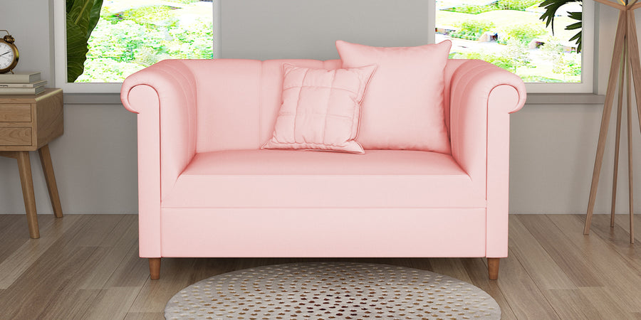 Rubi Velvet 2 Seater Sofa In Millennial Pink Colour - Febonic Living