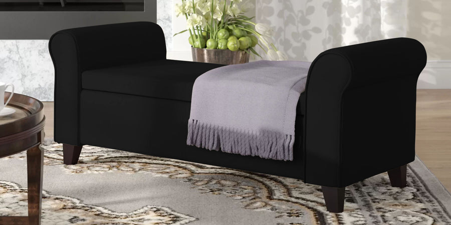 Molo Fabric 2 Seater Recamier In Zed Black Colour With Storage - Febonic Living