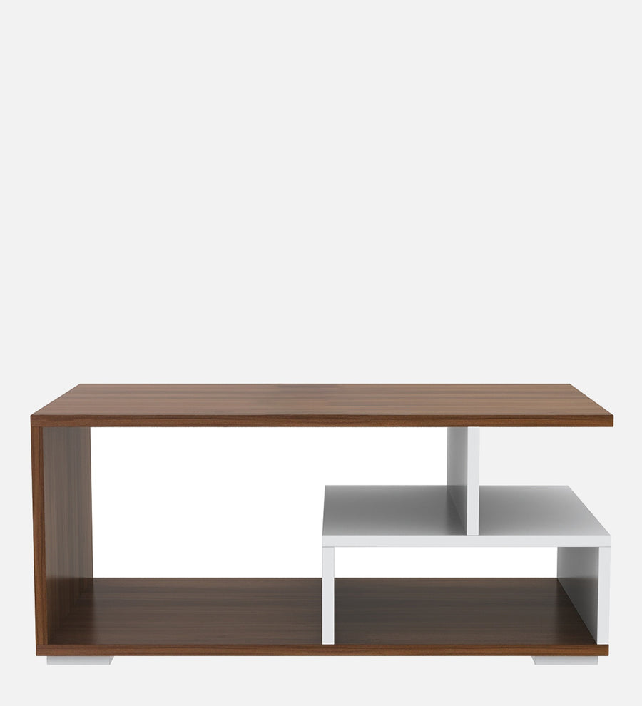 Clove Coffee Table In Oral Walnut & Frosty White Finish - Febonic Living