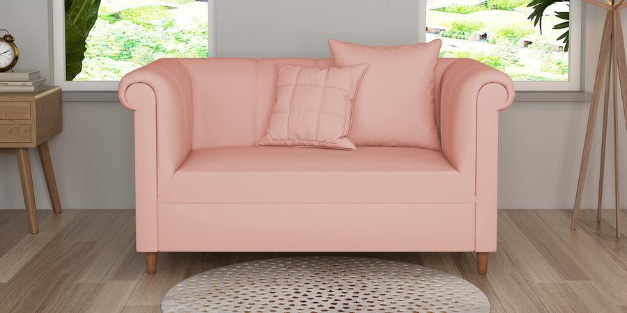 Rubi Velvet 2 Seater Sofa In Blush Pink Colour - Febonic Living