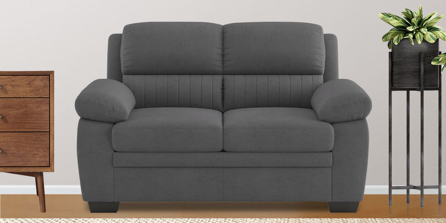 Cantaberry Velvet 2 Seater Sofa In Davy Grey Colour - Febonic Living