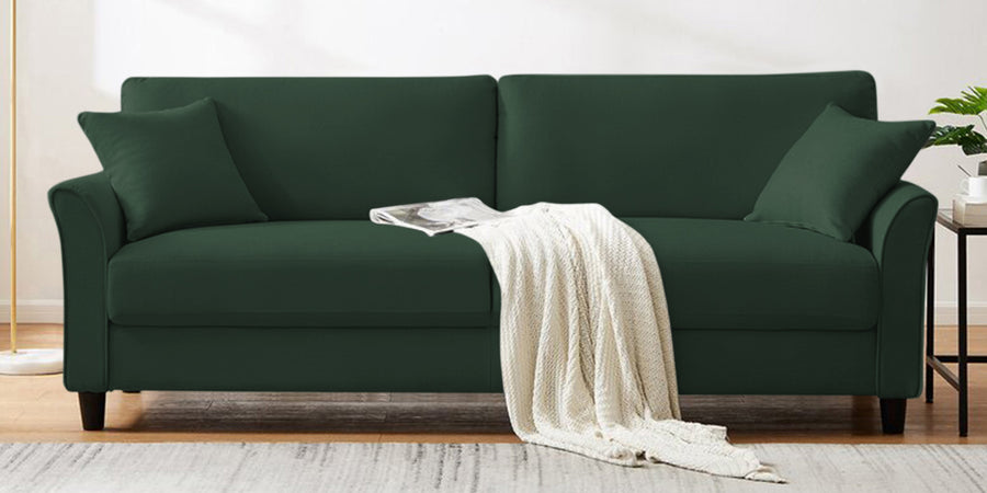 Daroo Velvet 3 Seater Sofa In Amazon Green Colour - Febonic Living
