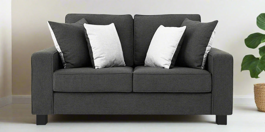 Ladybug Fabric 2 Seater Sofa In Charcoal Grey Colour - Febonic Living
