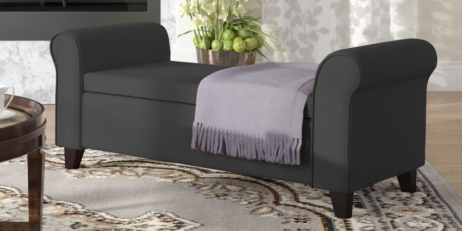 Molo Fabric 2 Seater Recamier In Charcoal Grey Colour With Storage - Febonic Living
