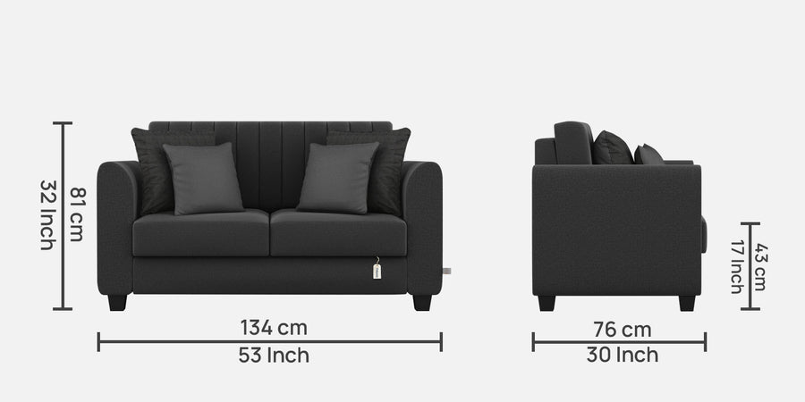 Cosmic Fabric 2 Seater Sofa In Charcoal Grey Colour - Febonic Living