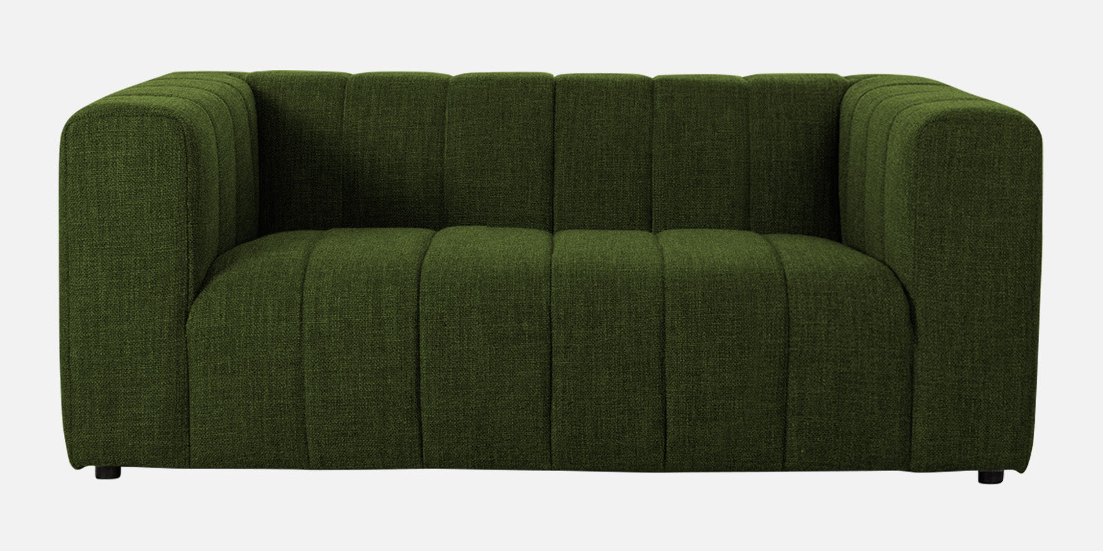 Lara Fabric 2 Seater Sofa in Olive green Colour