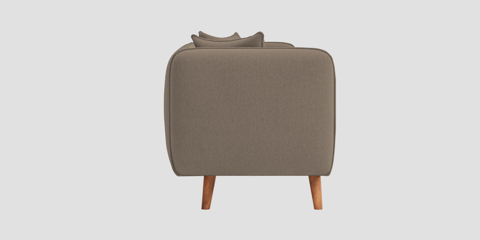 Reva Fabric 2 Seater Sofa In Hazel Beige Colour - Febonic Living