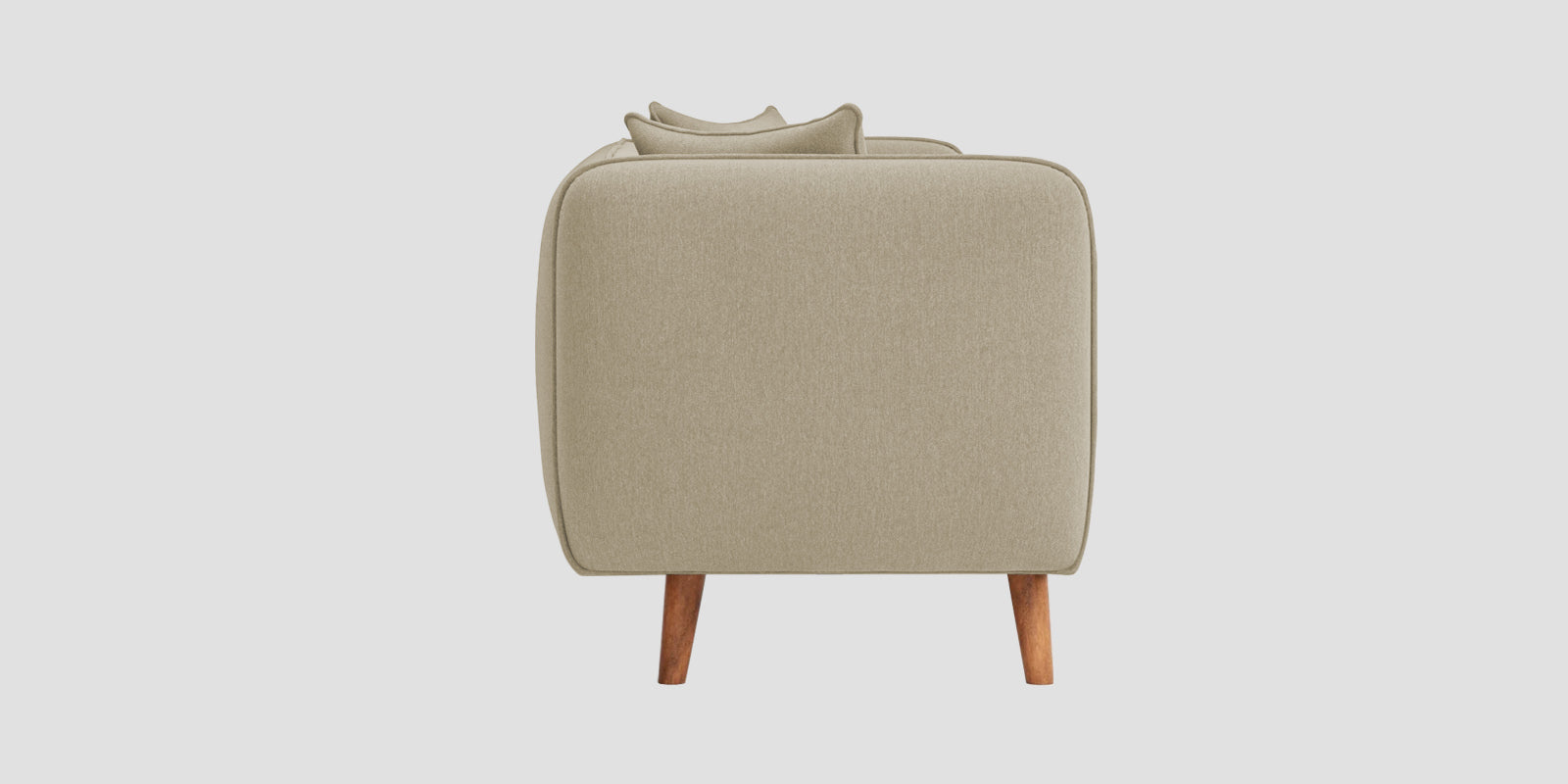 Reva Fabric 2 Seater Sofa In Honey Beige Colour - Febonic Living