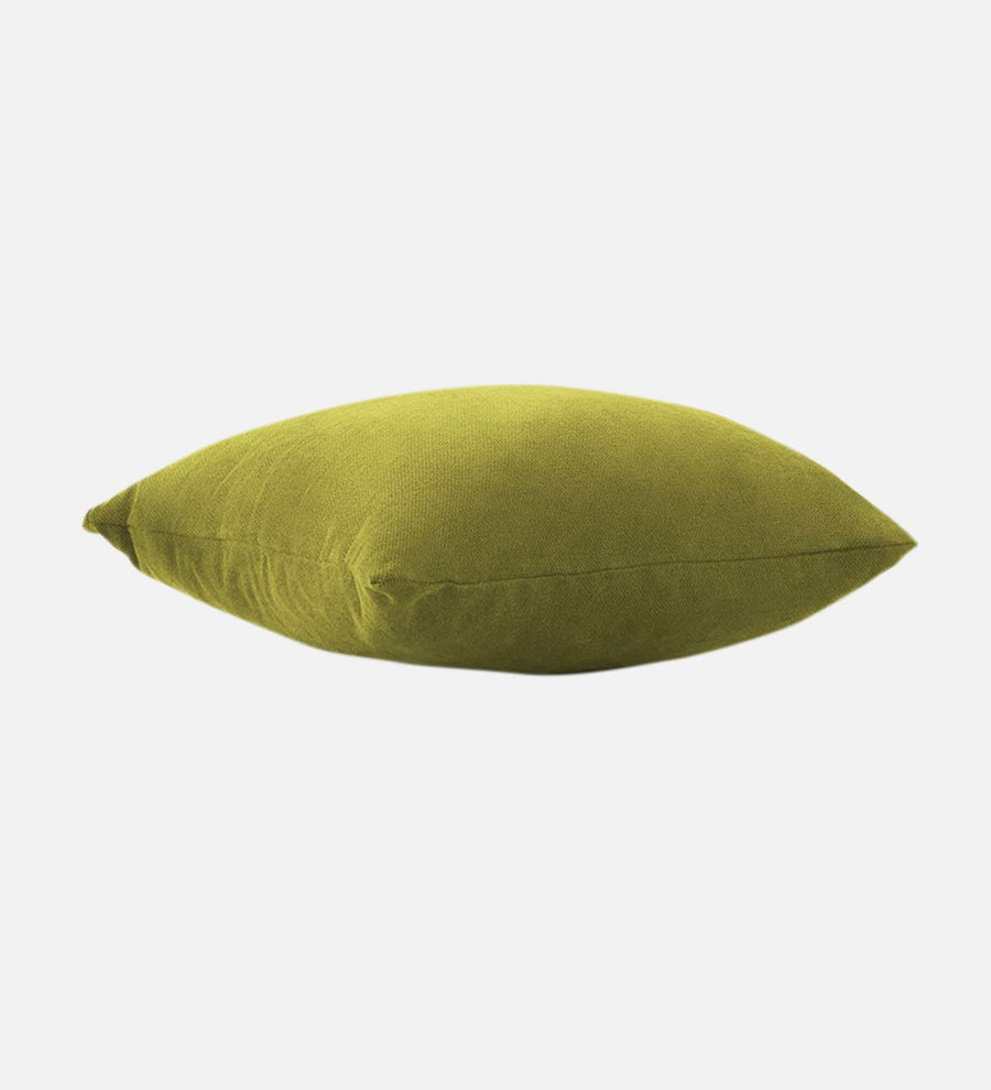 Kaya Fabric 20X20In Sofa Pillows In Parrot Green Colour Pack Of 2 - Febonic Living