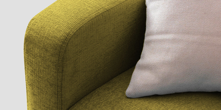 Noha Fabric 2 Seater Sofa In Parrot Green Colour - Febonic Living