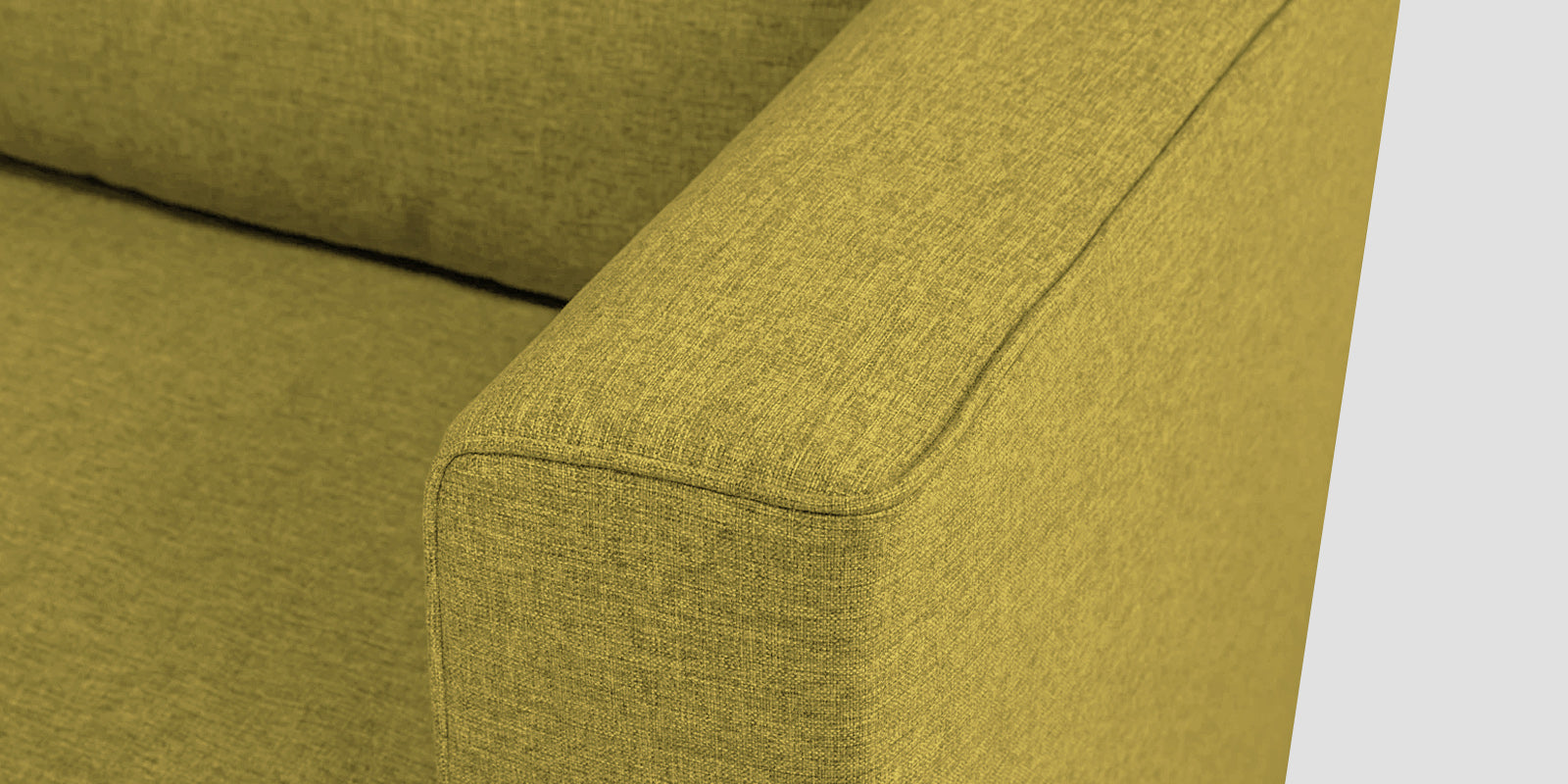 Kenia Fabric 2 Seater Foldable Sofa Cum Bed In Parrot Green Colour - Febonic Living