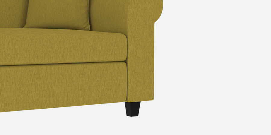 Derado Fabric 2 Seater Sofa In Parrot Green Colour - Febonic Living