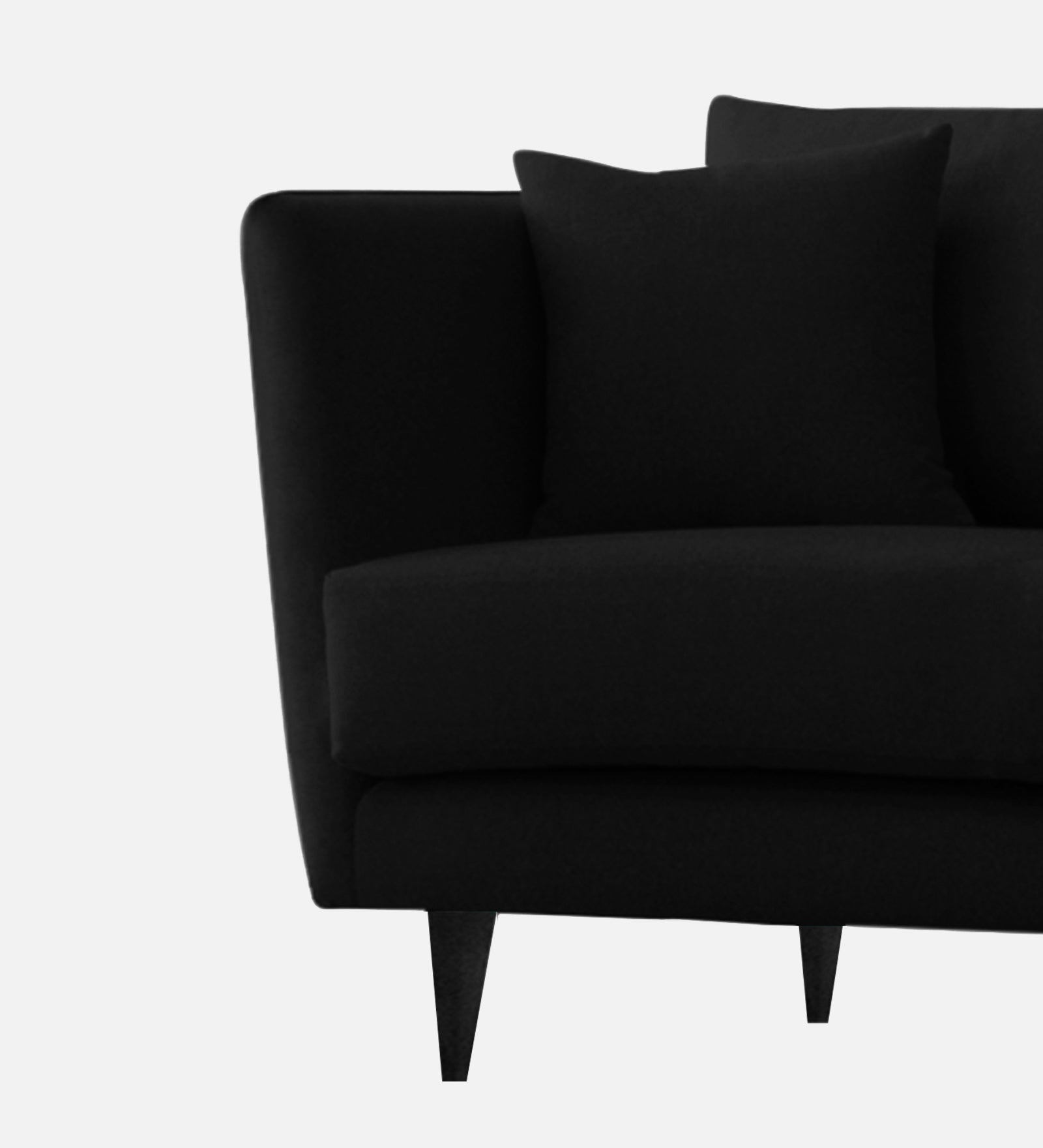 Norway Velvet 1 Seater Sofa In Adam Black Colour