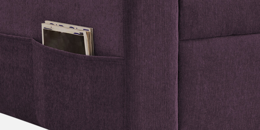 Kara Fabric 2 Seater Pull Out Sofa Cum Bed In Greek Purple Colour - Febonic Living